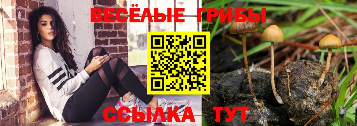 Галлюциногенные грибы мицелий Верхняя Салда